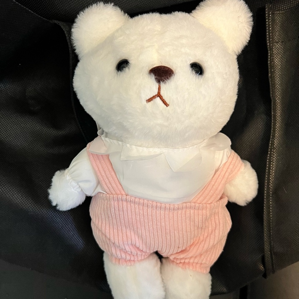 White Teddy Bear with Pink Overalls